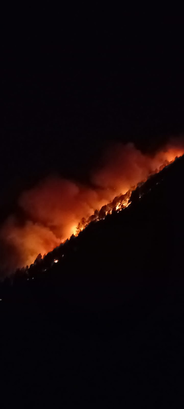 Karhutla di Kecamatan Muara, Satu Warga Meninggal Dunia