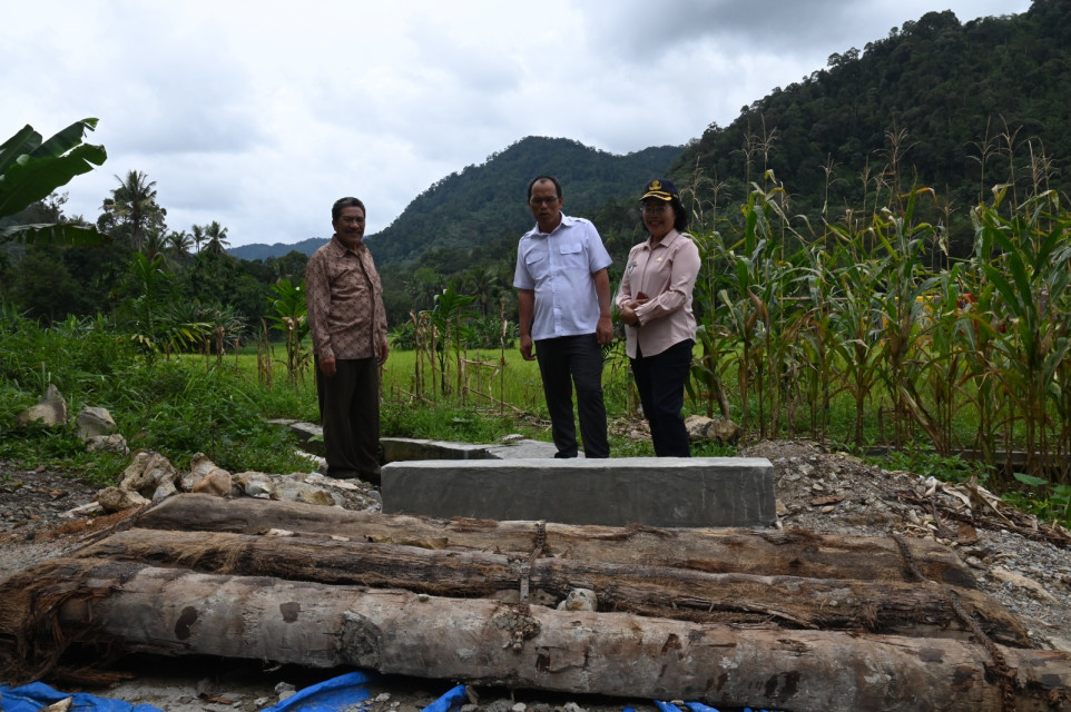 Bupati Dosmar Tinjau Kondisi Jalan di Tarabintang